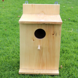 Birdhouse in dubai online