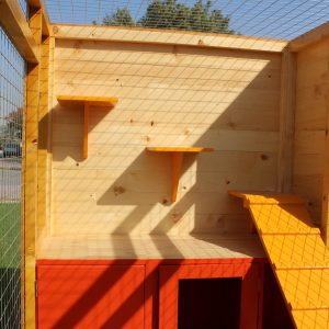 cat house with fenced play area