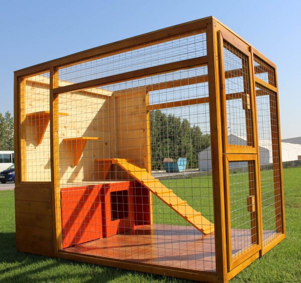 cat house with fenced play area uae