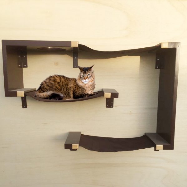 Cat Shelves in Dubai