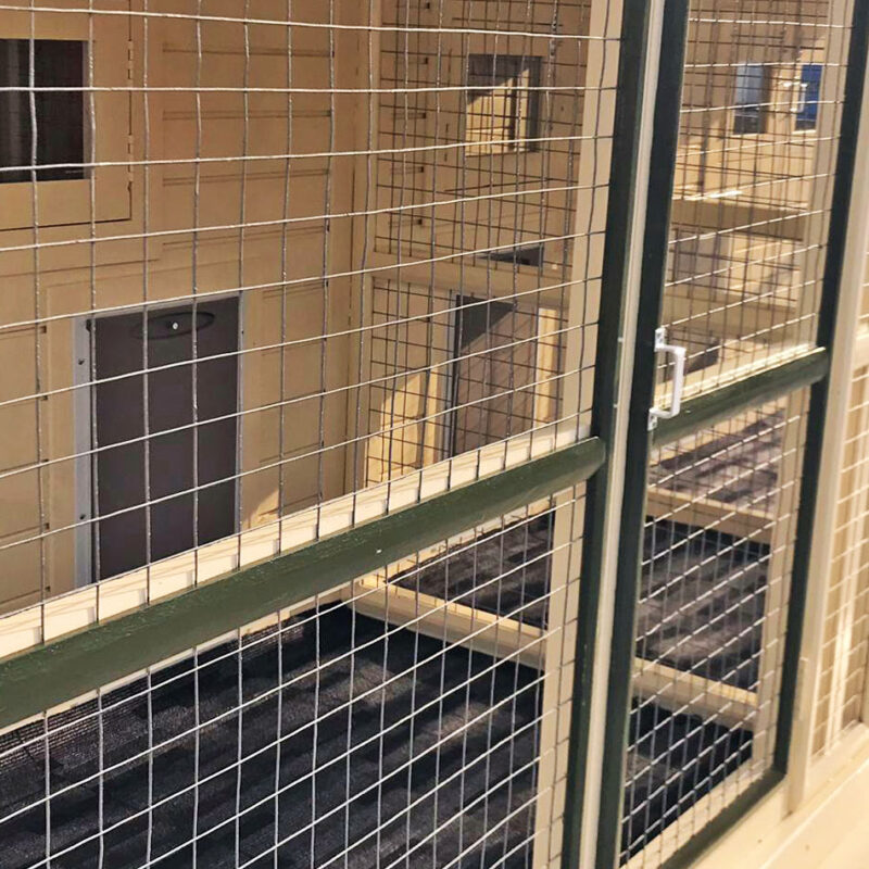 Dog Kennel With AC (3 Dogs) - Image 2