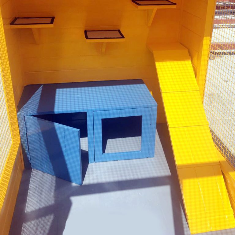 Cat House Abu Dhabi & Cat House Enclosure Pet Play Area Dubai & UAE