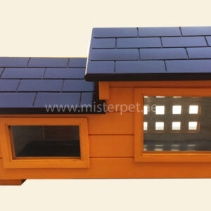 cat house small dubai