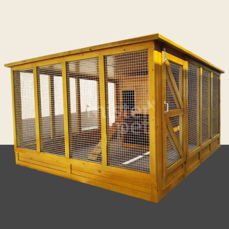 Bird Cage Online Best Price Buy Bird Cages in Dubai, Abu Dhabi & UAE