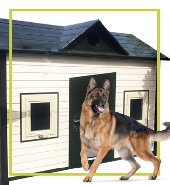 dog house home page