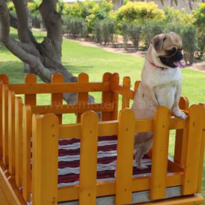 Dog House for Sale in ajman