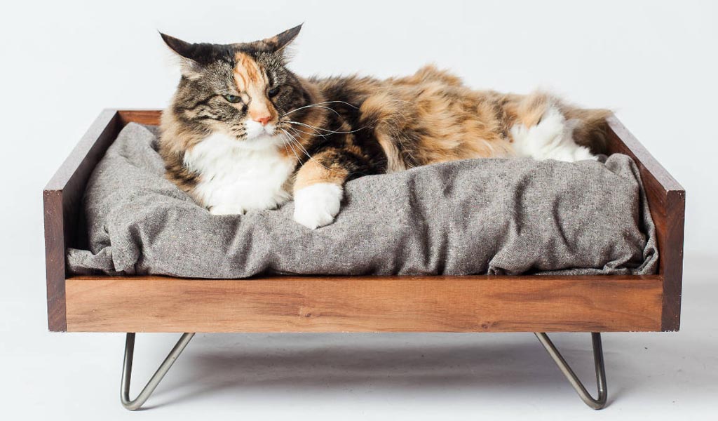 Cat beds