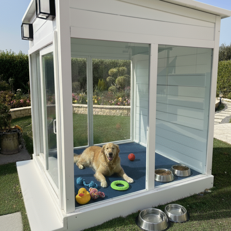 Dog Glass Villa